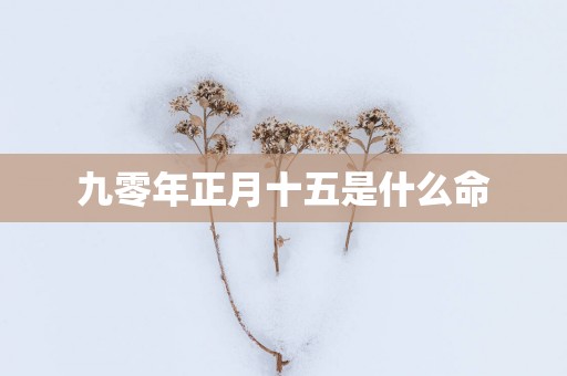 九零年正月十五是什么命