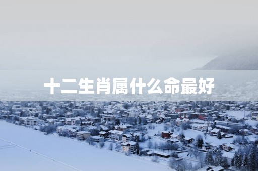 十二生肖属什么命最好