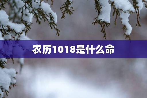 农历1018是什么命