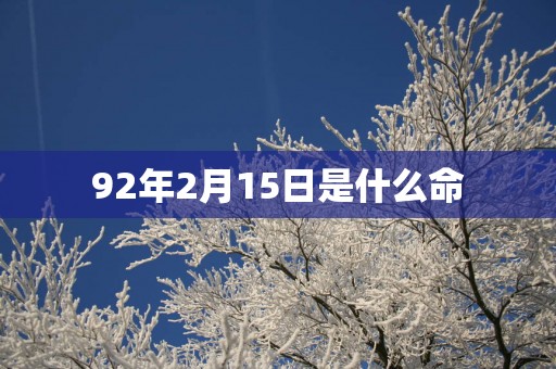 92年2月15日是什么命