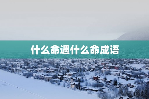 什么命遇什么命成语