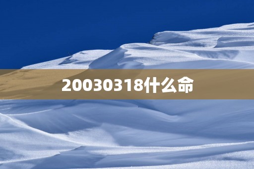 20030318什么命