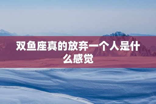 双鱼座真的放弃一个人是什么感觉