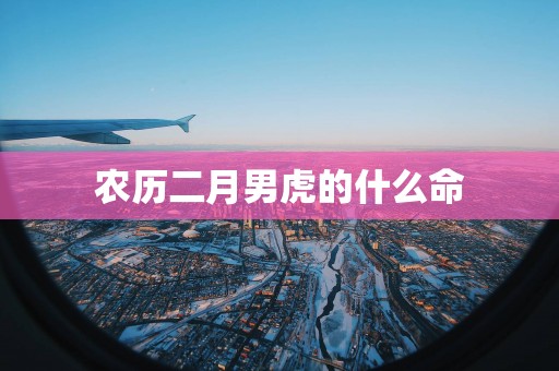 农历二月男虎的什么命
