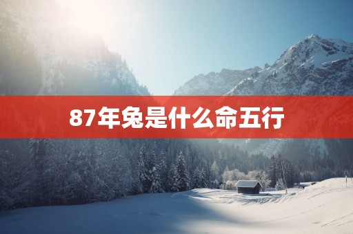 87年兔是什么命五行