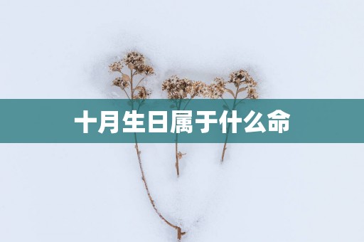 十月生日属于什么命