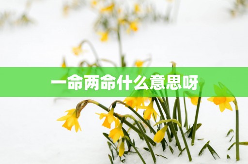 一命两命什么意思呀