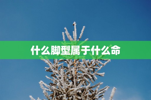 什么脚型属于什么命