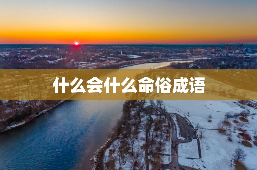 什么会什么命俗成语