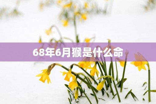 68年6月猴是什么命