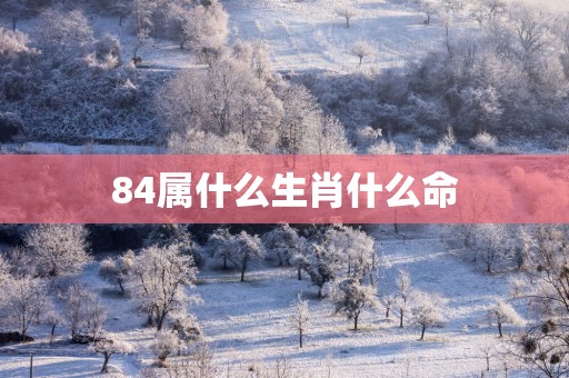 84属什么生肖什么命