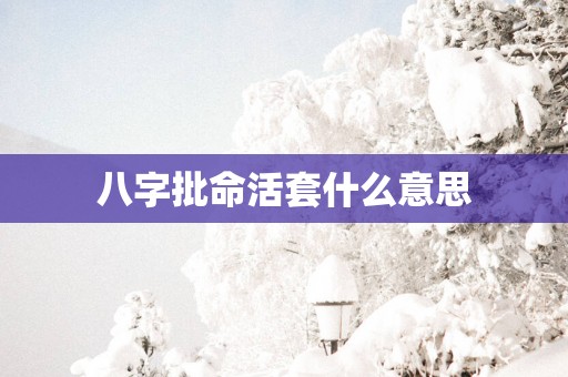 八字批命活套什么意思