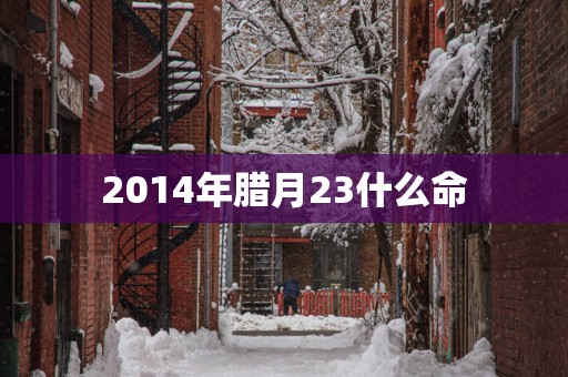 2014年腊月23什么命