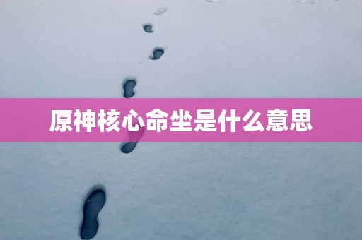 原神核心命坐是什么意思