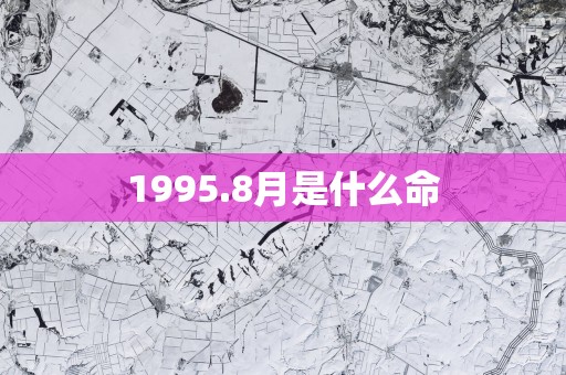 1995.8月是什么命