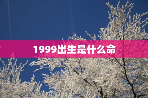 1999出生是什么命