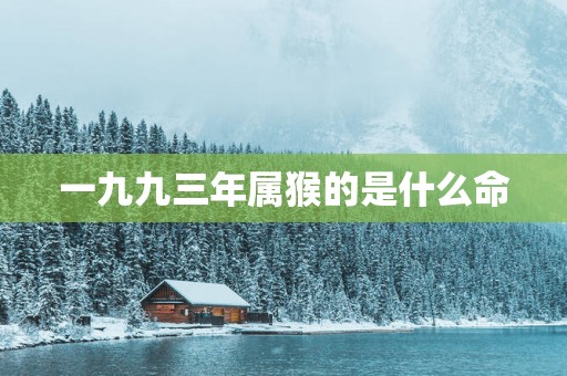 一九九三年属猴的是什么命
