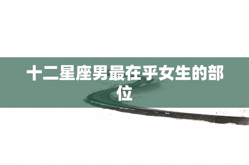 十二星座男最在乎女生的部位