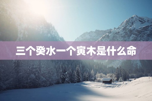 三个癸水一个寅木是什么命
