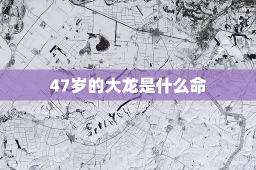 47岁的大龙是什么命