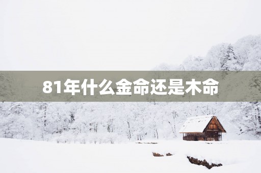 81年什么金命还是木命