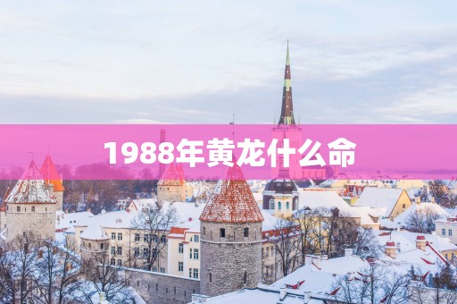 1988年黄龙什么命