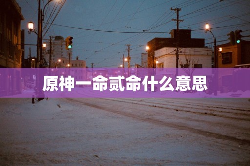 原神一命贰命什么意思