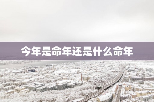 今年是命年还是什么命年