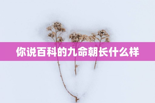 你说百科的九命朝长什么样