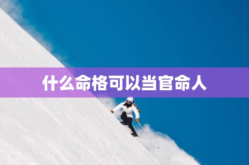 什么命格可以当官命人