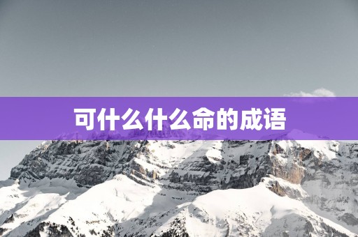 可什么什么命的成语