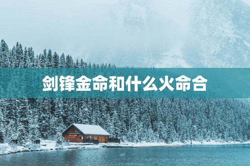 剑锋金命和什么火命合