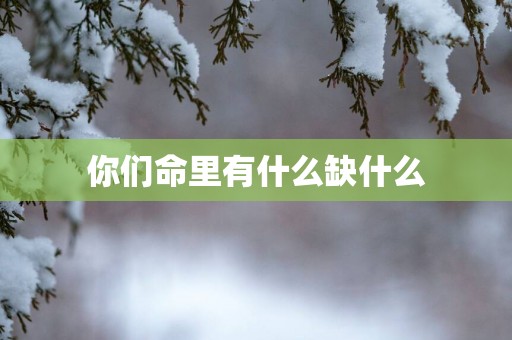 你们命里有什么缺什么