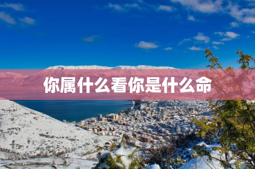 你属什么看你是什么命