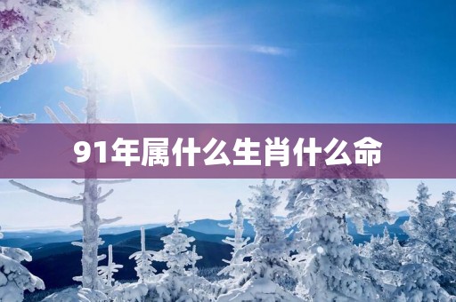 91年属什么生肖什么命