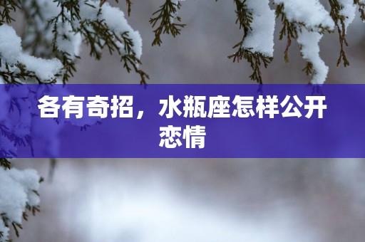 各有奇招，水瓶座怎样公开恋情