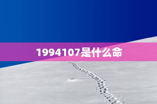 1994107是什么命
