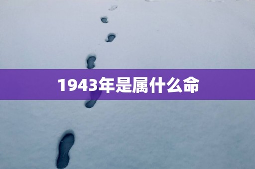 1943年是属什么命