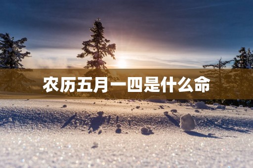 农历五月一四是什么命