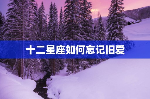 十二星座如何忘记旧爱