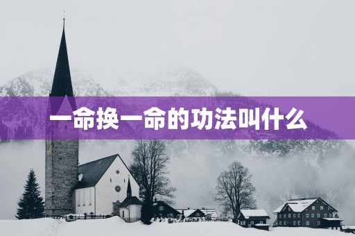 一命换一命的功法叫什么