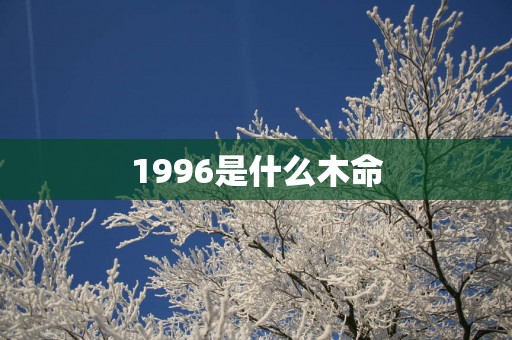 1996是什么木命