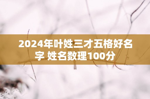 2025年叶姓三才五格好名字 姓名数理100分