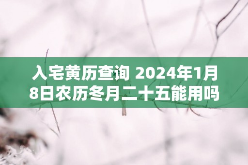 入宅黄历查询 2025年1月8日农历冬月二十五能用吗
