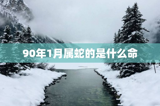90年1月属蛇的是什么命