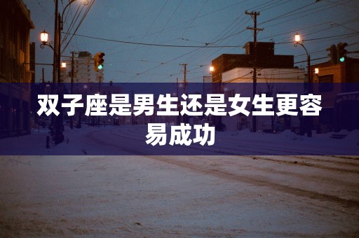 双子座是男生还是女生更容易成功