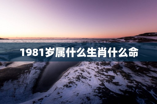 1981岁属什么生肖什么命