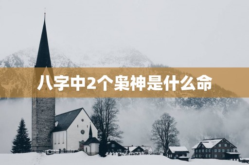 八字中2个枭神是什么命