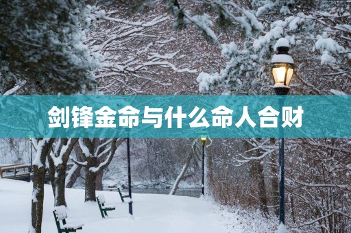 剑锋金命与什么命人合财