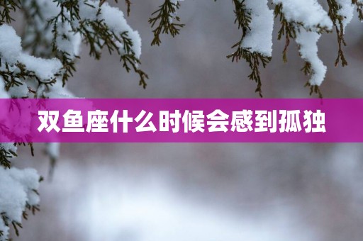双鱼座什么时候会感到孤独